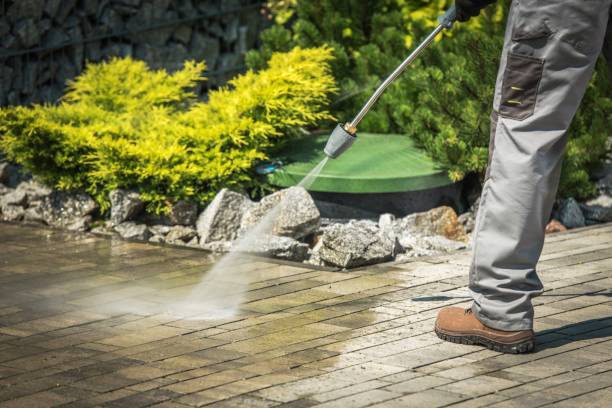 Best Winterizing Services  in Dickson, TN