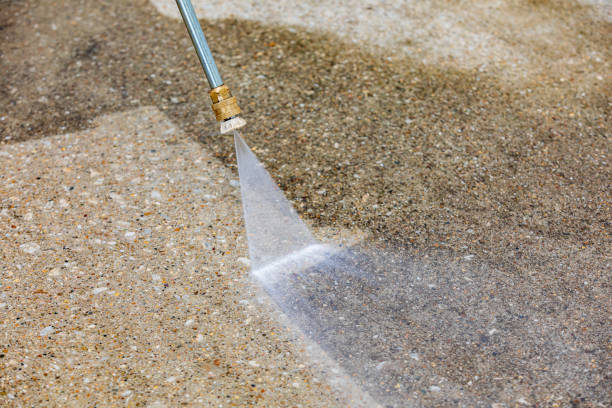 Animal Enclosure Cleaning in Dickson, TN
