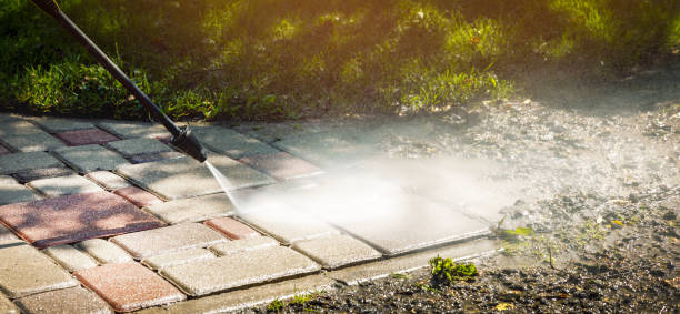 Best Roof Washing  in Dickson, TN
